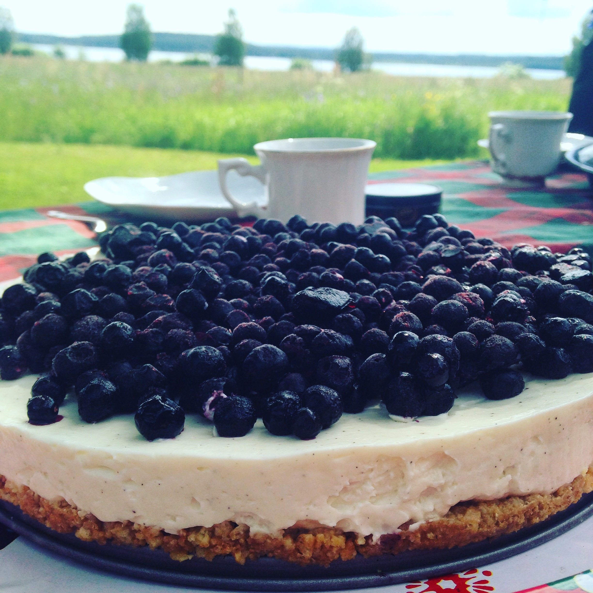 Cheesecake med blåbär 